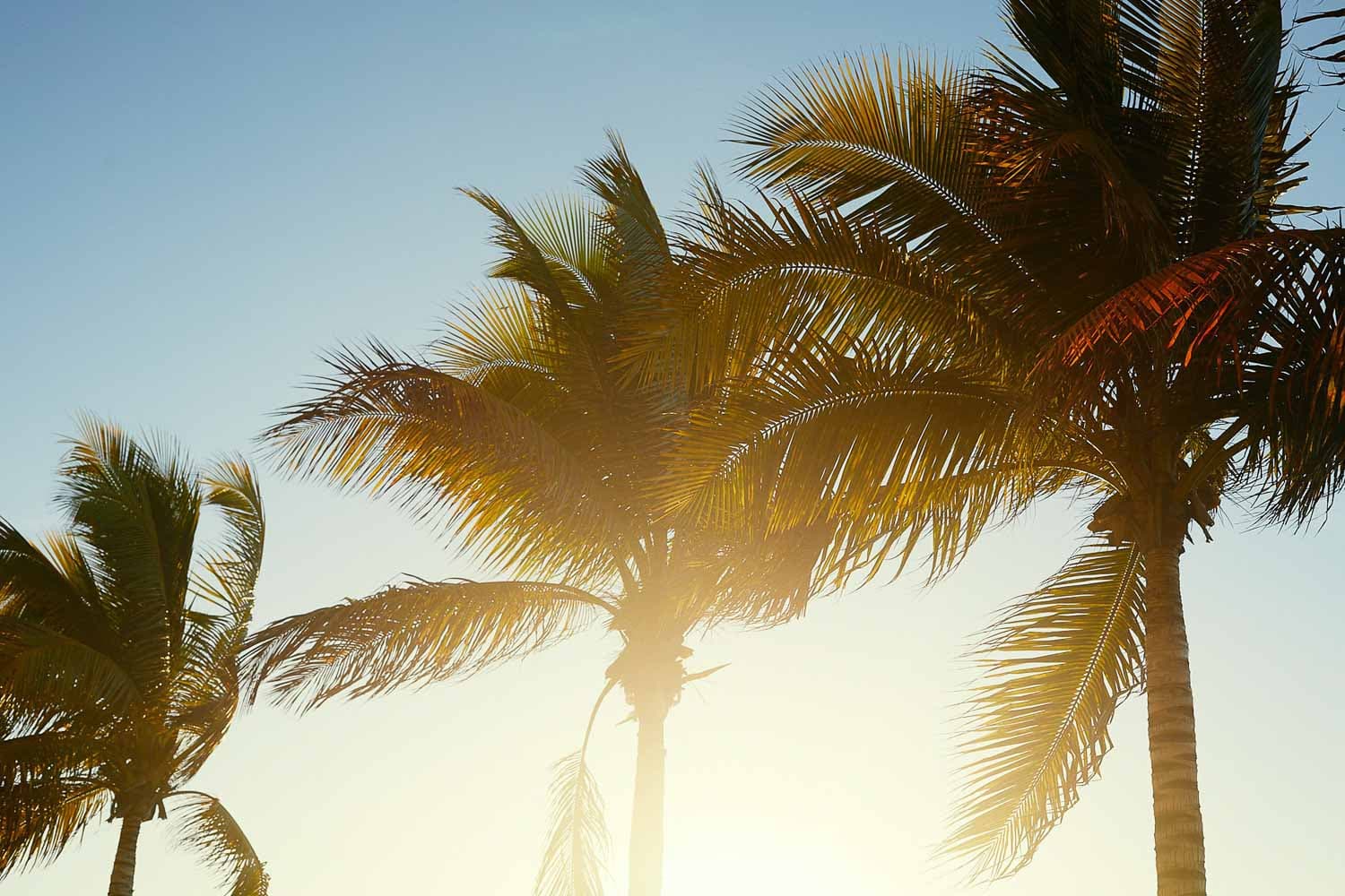 Carlos Urrego Photography 00007