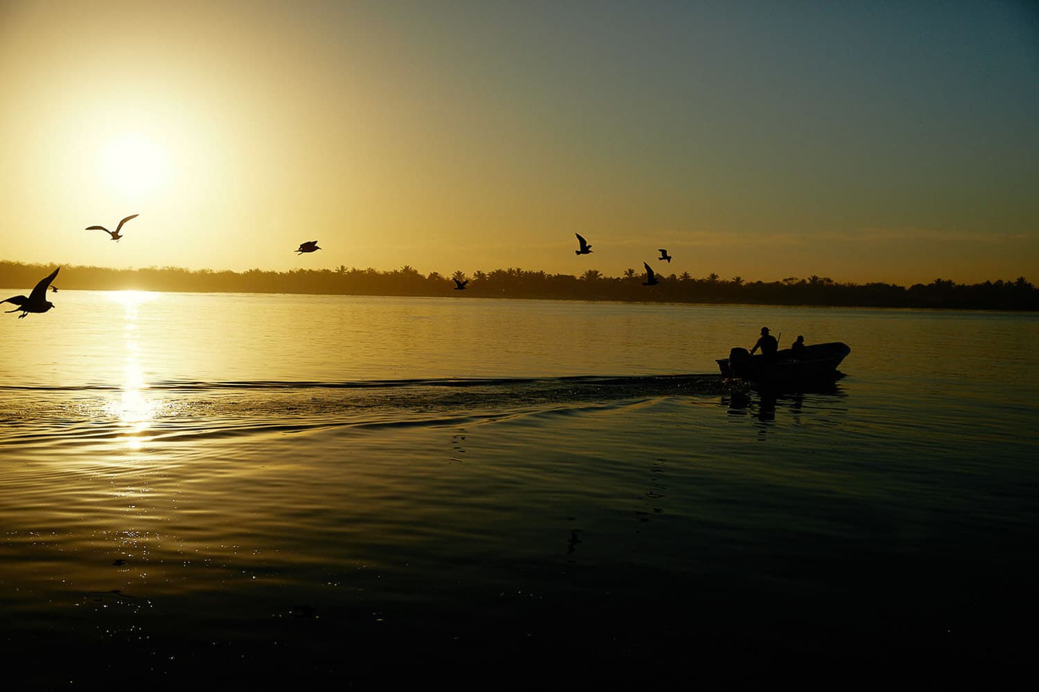 Carlos Urrego Photography 00017