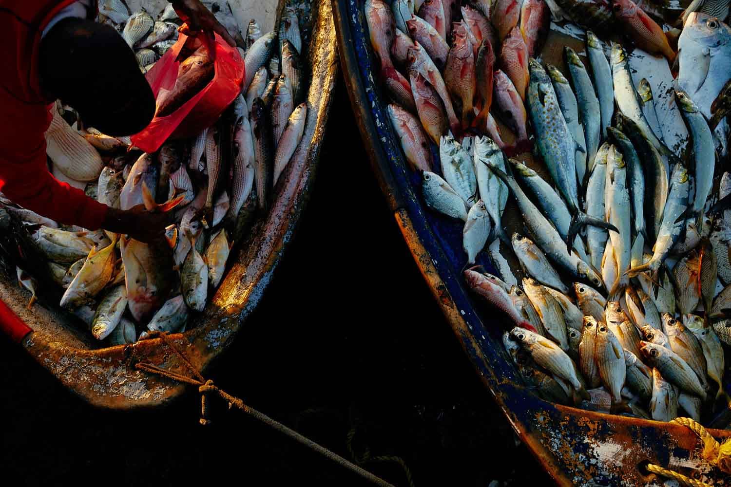 Carlos Urrego Photography 00020