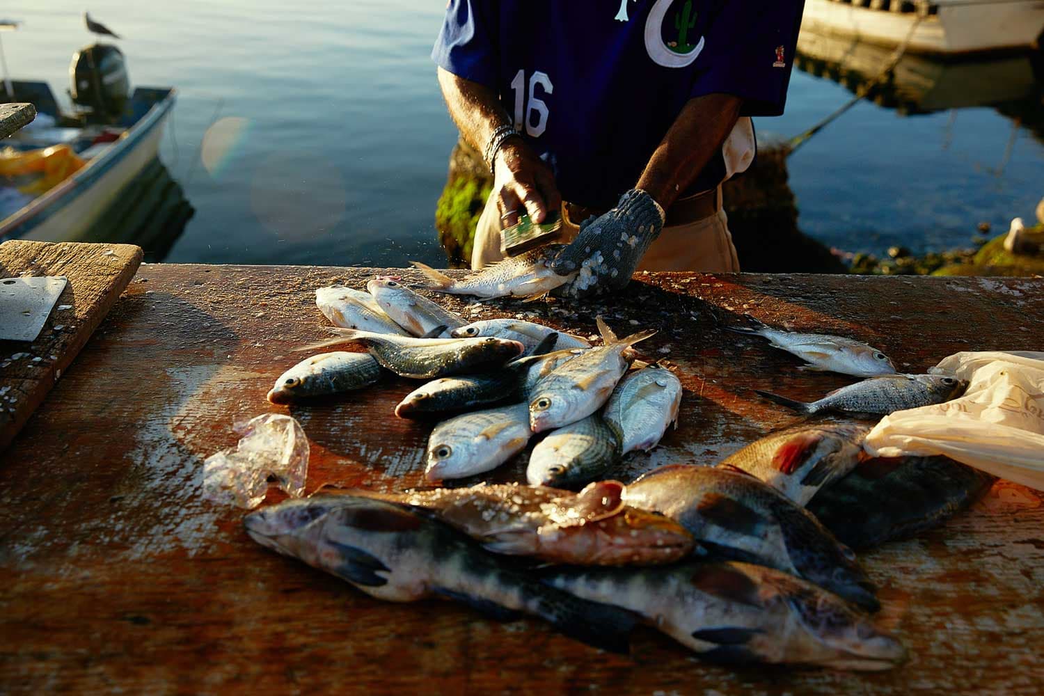 Carlos Urrego Photography 00022