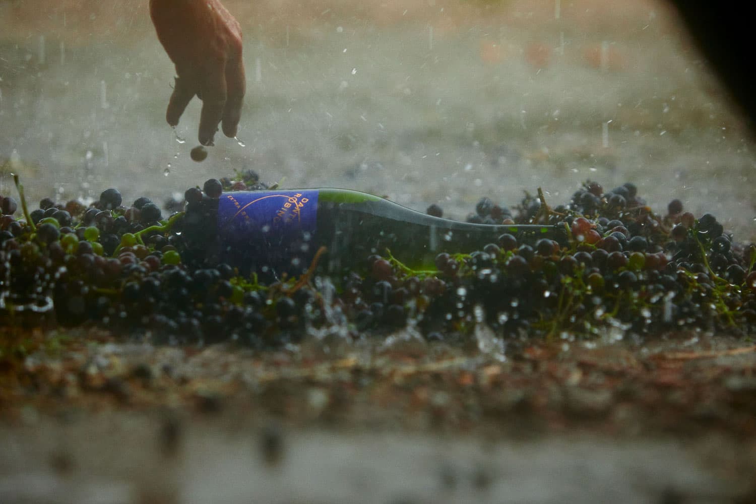 Carlos Urrego Photography 00065