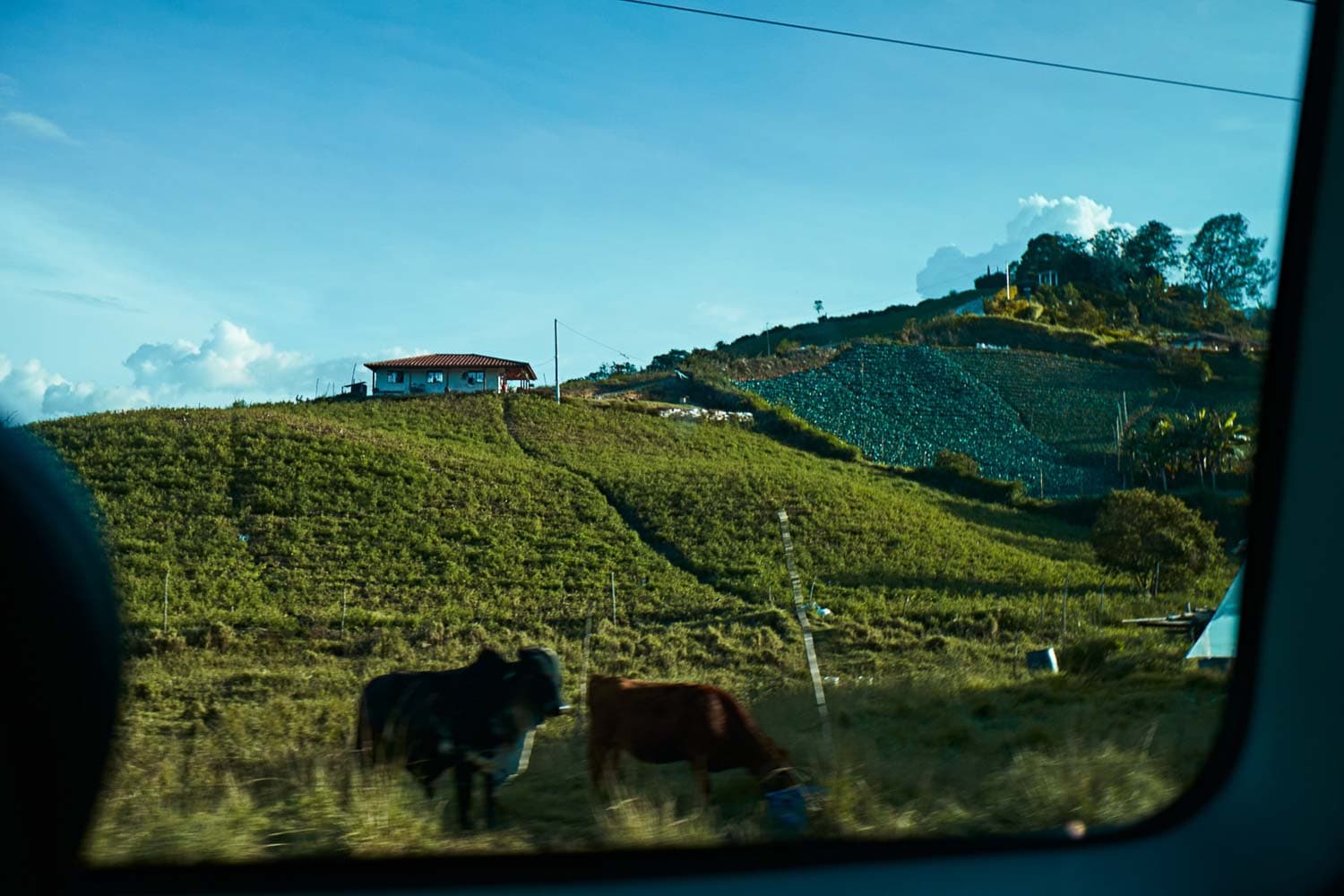 Carlos Urrego Photography 00102