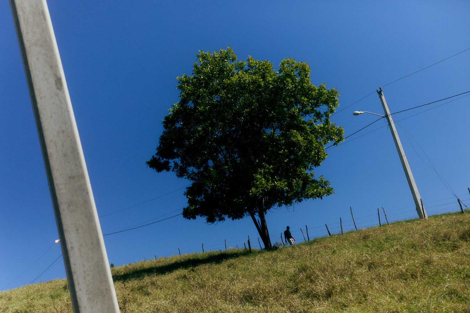 Carlos Urrego Photography 00196