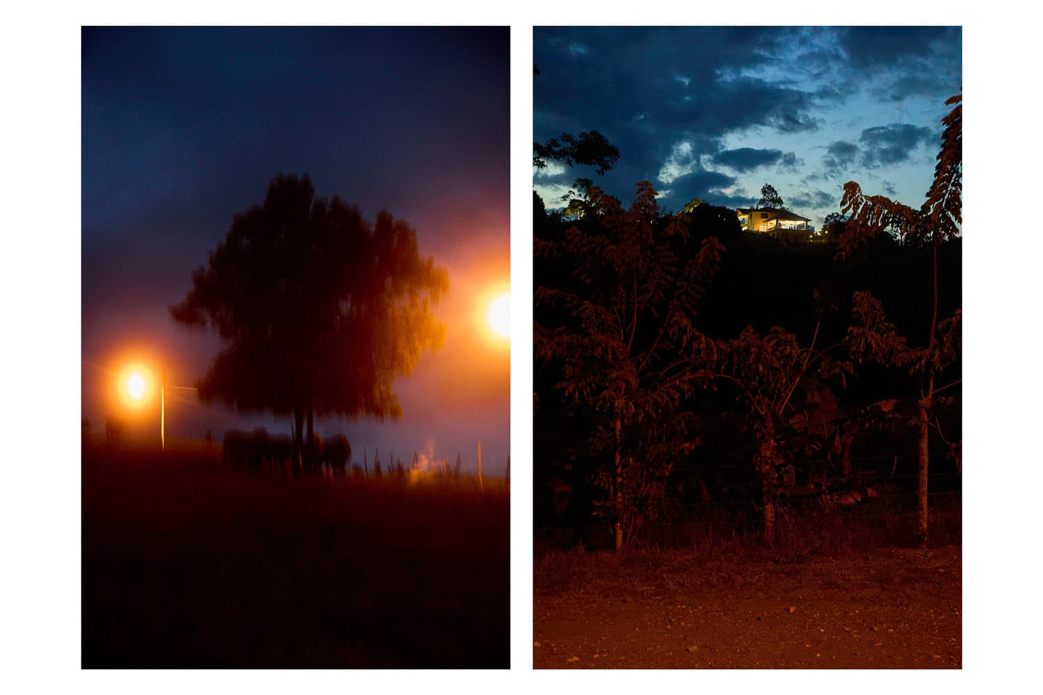 Carlos Urrego Photography 00197